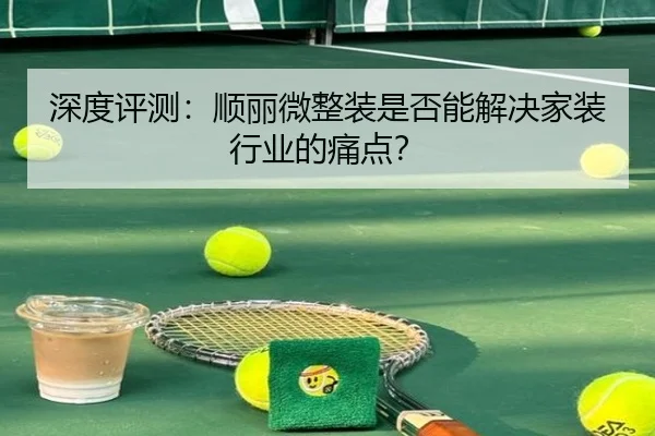 深度评测：顺丽微整装是否能解决家装行业的痛点？